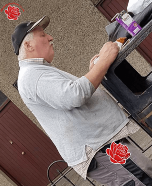 Noel Greer – profile image