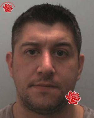 Steven Cook – profile image