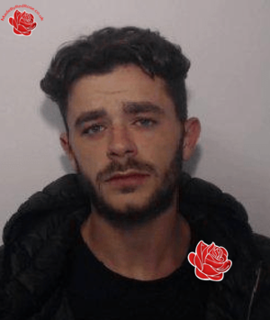 Thomas Greeney – profile image
