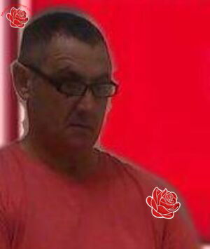 Stephen Lewis – profile image