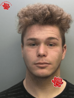 Lewis Peake – profile image