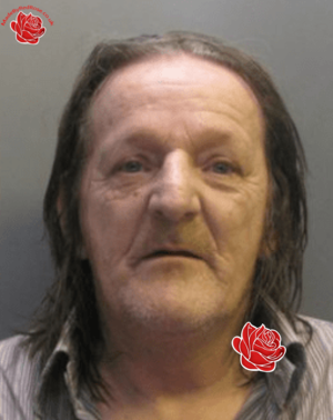 Robin Matthews – profile image