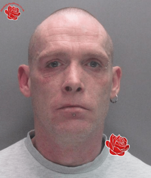 Wayne Chester – profile image