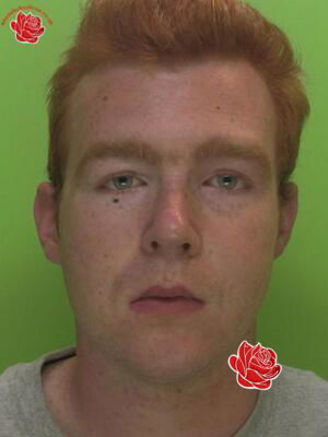 James Morton – profile image
