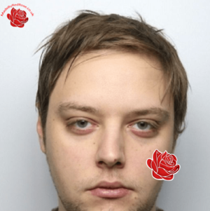 Leo Del Pellegrino – profile image
