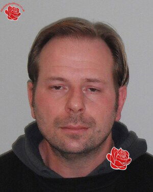 David Powell – profile image