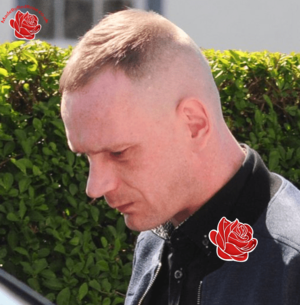 David Brown – profile image
