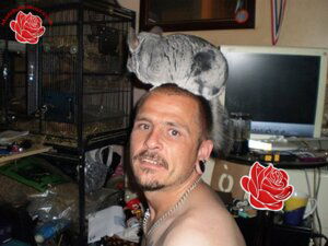 Darren Le Gallez – profile image
