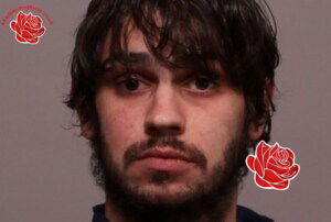 Daniel Painter – profile image