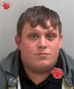 Daniel Carr – profile image