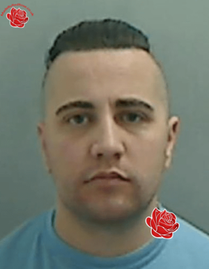 Stephen Jardine – profile image