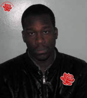 Daniel McKenzie – profile image