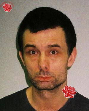 William Paskin/David Willmott – profile image