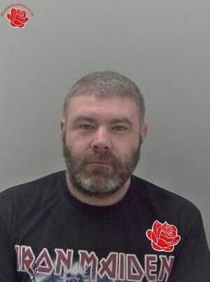 Simon Boon – profile image