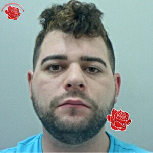 Thomas Lawton – profile image