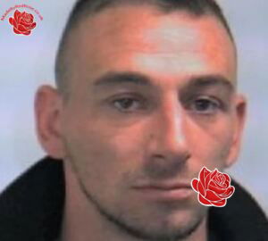 Gary Beddoes – profile image
