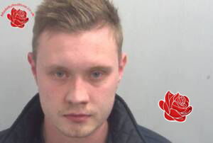 Bradley Challis – profile image