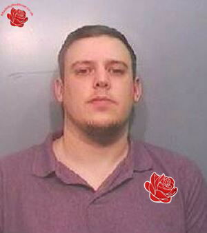 Alistair Hodge – profile image