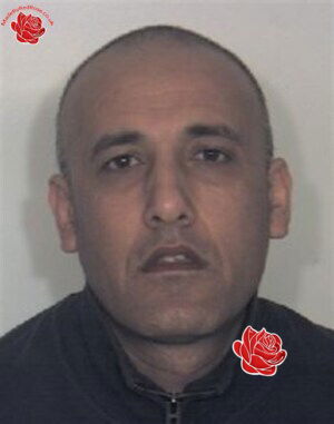 Zalgai Ahmadi – profile image