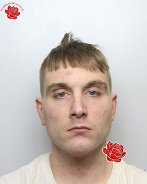 James Phillips – profile image