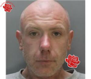 Mark Jones – profile image