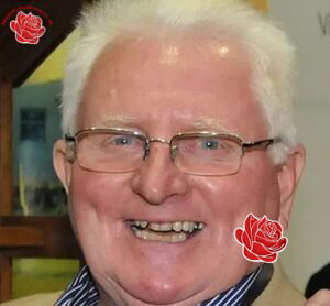 Peter Bird – profile image
