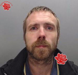 Nicholas Wilkinson – profile image