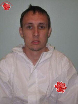 Stephen Thomas – profile image