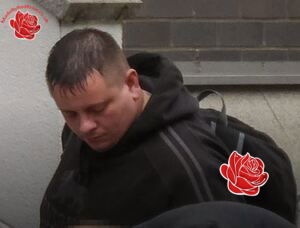 Steven Hewitt – profile image