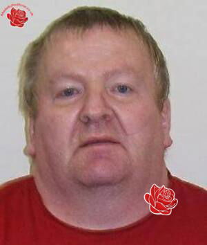 Stephen Craig – profile image
