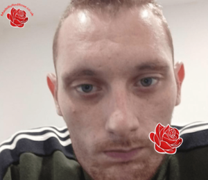 Dale Walsh – profile image