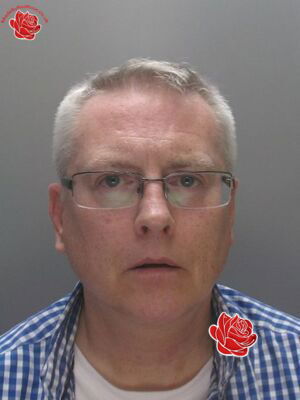 Stephen Harding – profile image
