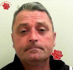 Martin Rowe – profile image