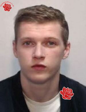 Connor Freeman – profile image