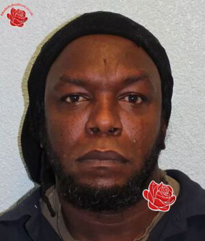 Paul Francis – profile image