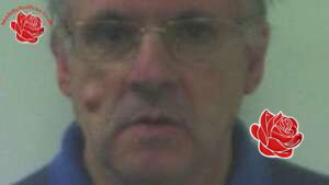 David Williams – profile image
