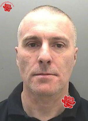 Stuart Bailey – profile image