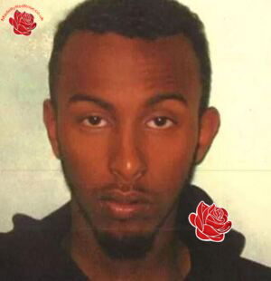 Mohamed Igal – profile image