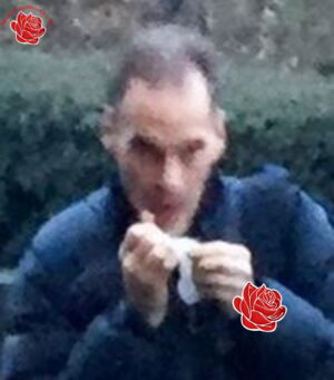 Paul Biggar – profile image