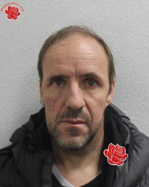 Steven Baldock – profile image