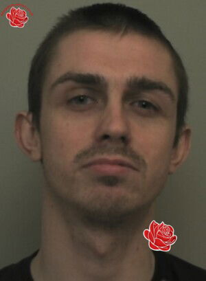 Daniel Bradshaw – profile image