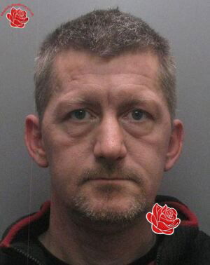 John Robey – profile image