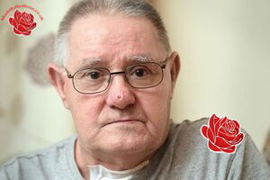 Harry Campbell – profile image