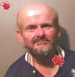 Stephen Kelly – profile image