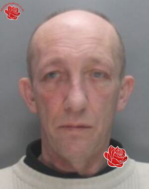Peter Hills – profile image