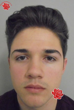 Connor Hibberd – profile image