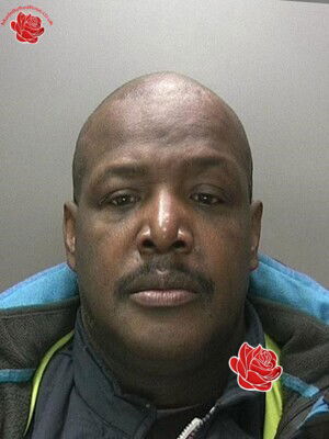 John Peart – profile image