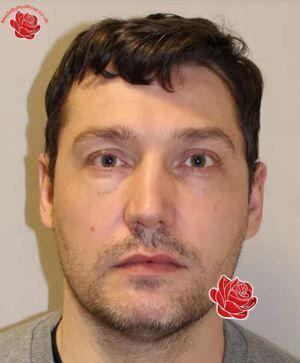 Lee Curley – profile image