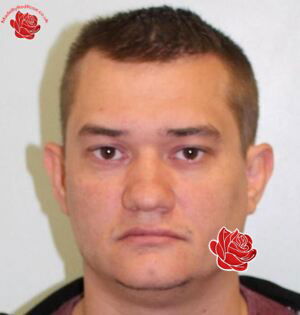 Nicholas Tweedie – profile image