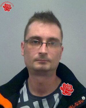 Stuart Goodman – profile image
